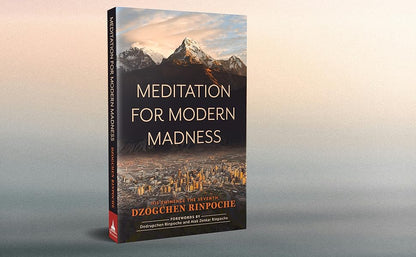 Blessed and Signed copy of Meditation for Modern Madness