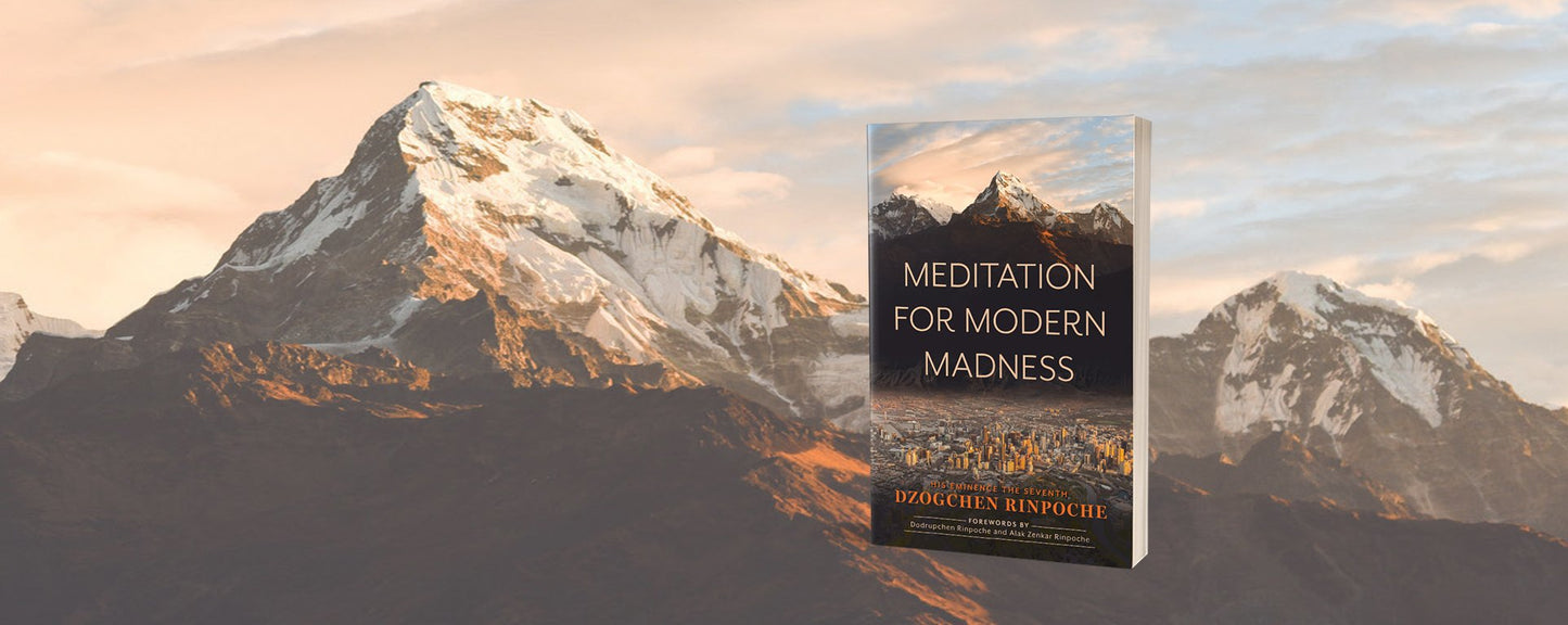 Blessed and Signed copy of Meditation for Modern Madness